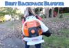 Best Backpack Blower