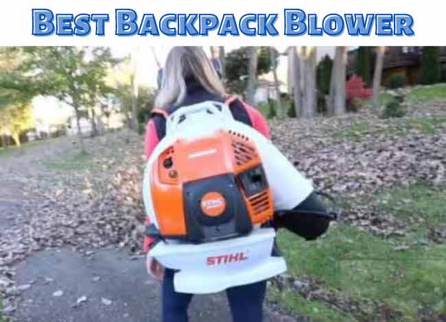 Backpack Blower Comparison Chart