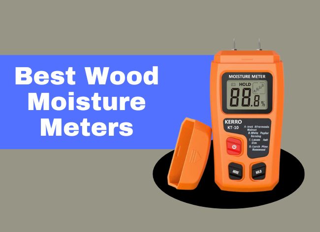 Best Wood Moisture Meters