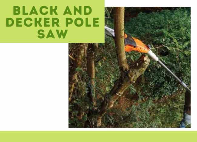 Black and Decker Pole Saw