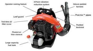 Echo PB-580T Review 2021