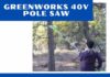 Greenworks 40V Pole Saw