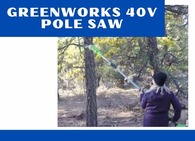 Greenworks 40V Pole Saw