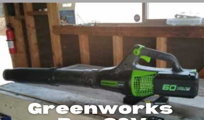 Greenworks Pro 60V