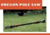 Oregon Pole Saw